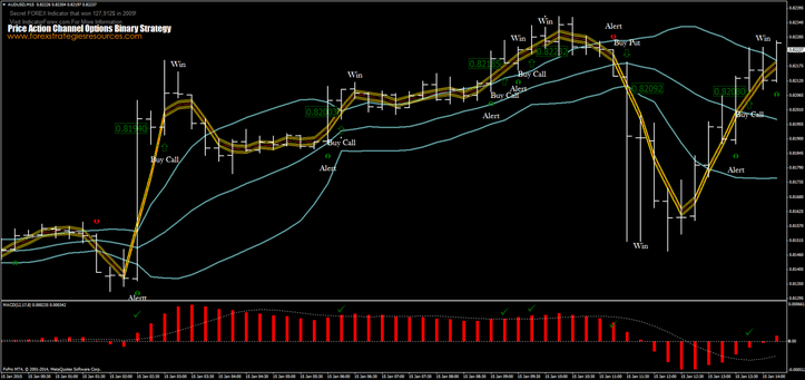 binary options price action