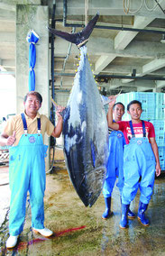 大物マグロを釣り上げた「第一あずさ丸」の乗組員たち=10日午後、八重山漁協