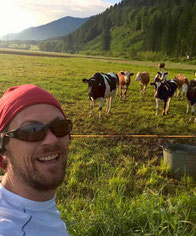 Slow Food Travel-Lesachtal Gailtal-Kärnten-Laufen am Morgen-Kühe