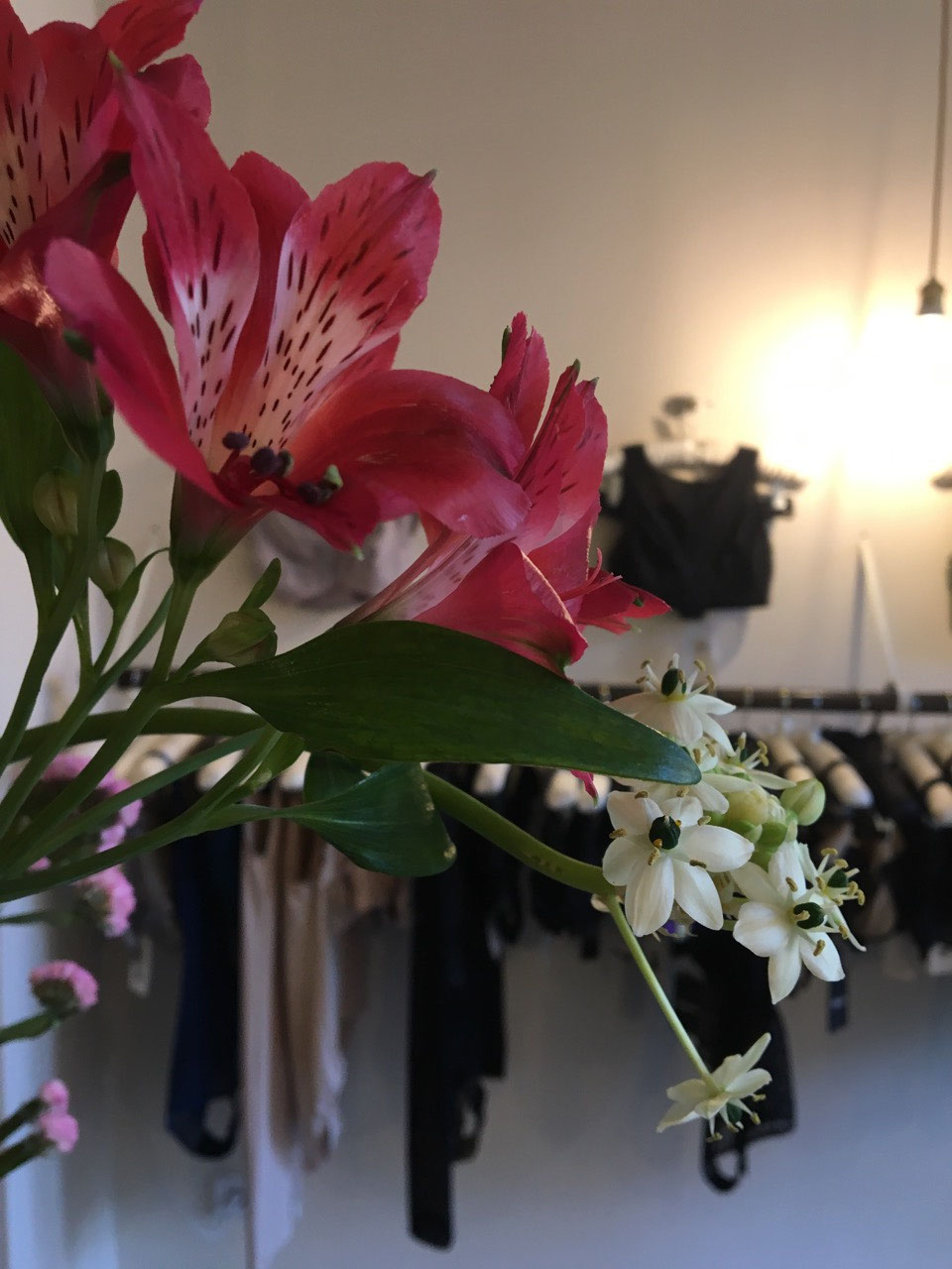 Linierie März Post Linierie underwear store Lingerie Damenunterwäsche Dessous Homewear