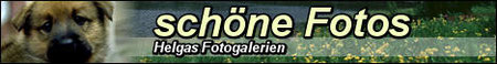schoene Fotos