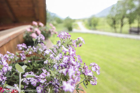 Slow Food Travel-Lesachtal Gailtal-Kärnten-Hansbauerhof