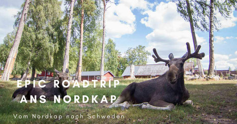 Epic Roadtrip ans Nordkap - Von Polen nach Finnland