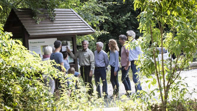 Waldführung: ©FriedWald/Thomas Gasparini