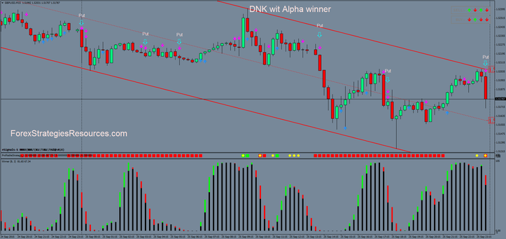Binary option winner