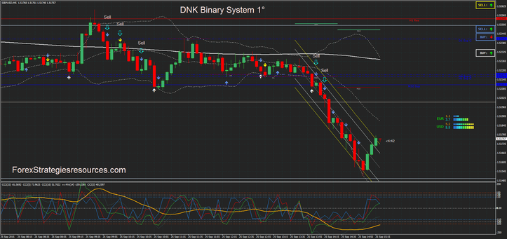 Binary options 101 blog