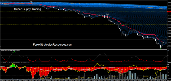 super trader forex