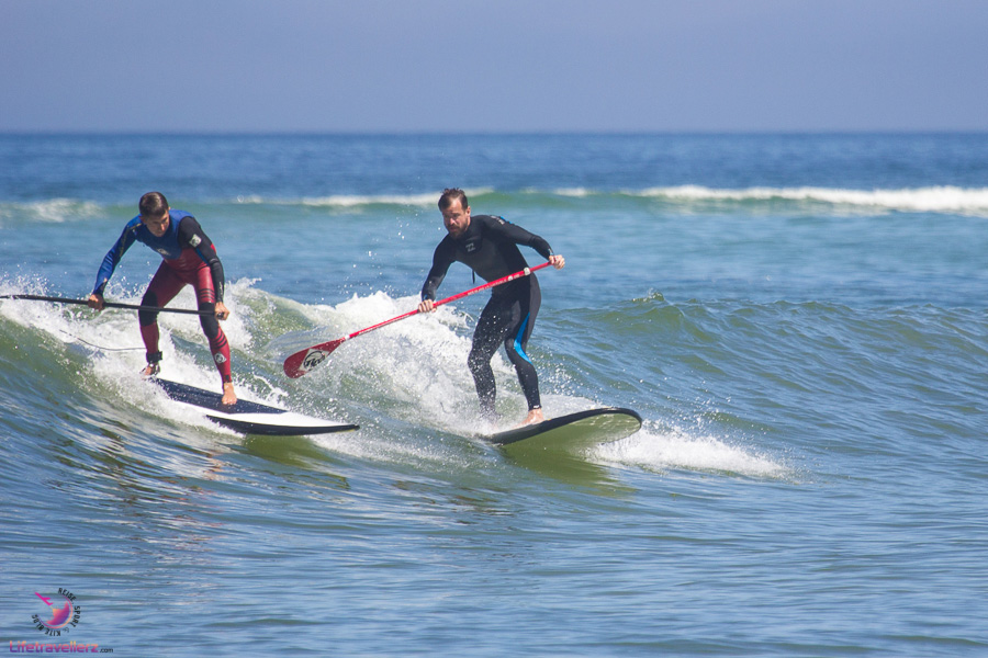 Stand Up Paddling in der Welle - Wave Stand Up Paddling