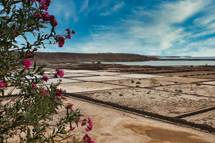 Salinen Lanzarote