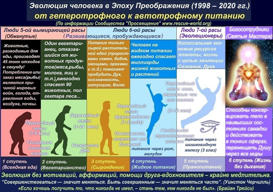 Эволюционная Диета Купить