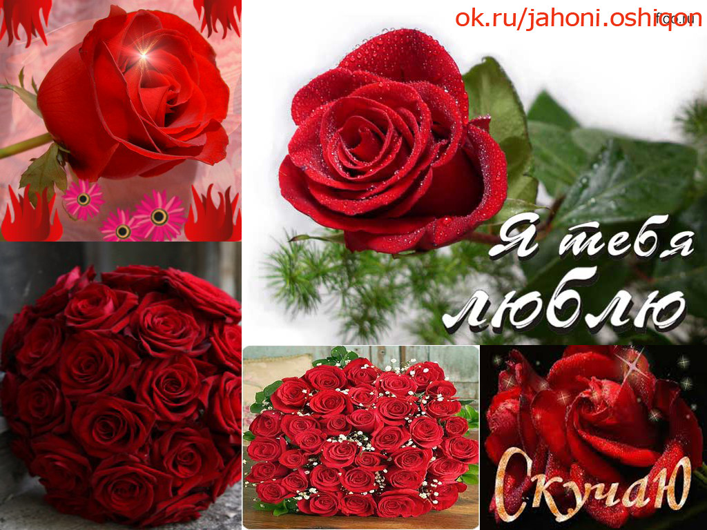 Фото С Дня Рождения Гули