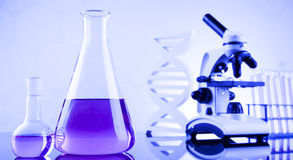 Laboratoire De Svt Cours Et Ressources En Svt Hot Sex Picture