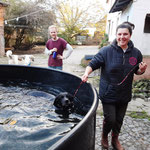 Volunteer helping with animal care and bathing routines at Gnadenbrothof Ziegenhain in Germany.