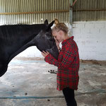 Volunteer with a horse at Gnadenbrothof Ziegenhain animal sanctuary in Germany.