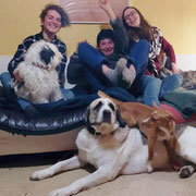 Volunteers with dogs at Gnadenbrothof Ziegenhain animal sanctuary in Germany.