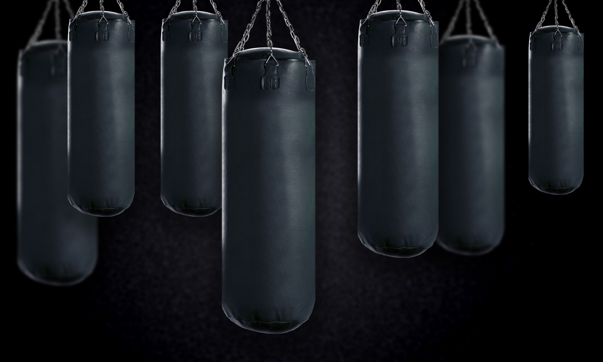 Dicks Punching Bag