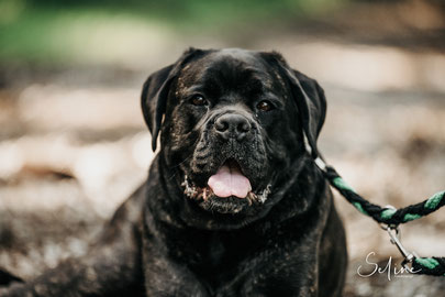 Ella auf einem Portraitfoto