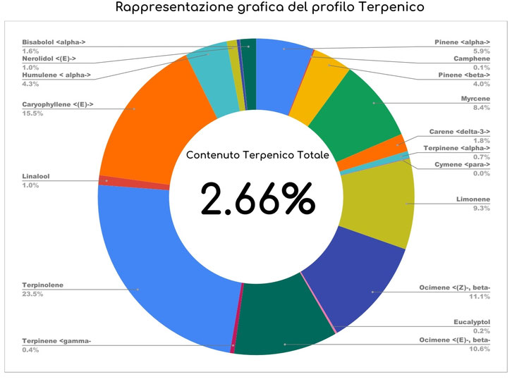 Profilo terpenico Diabolica CBD – analisi aromatica Ara Montis Farm