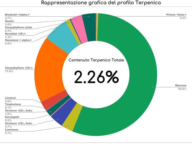 Profilo terpenico Melon Rock – note fruttate e mircene