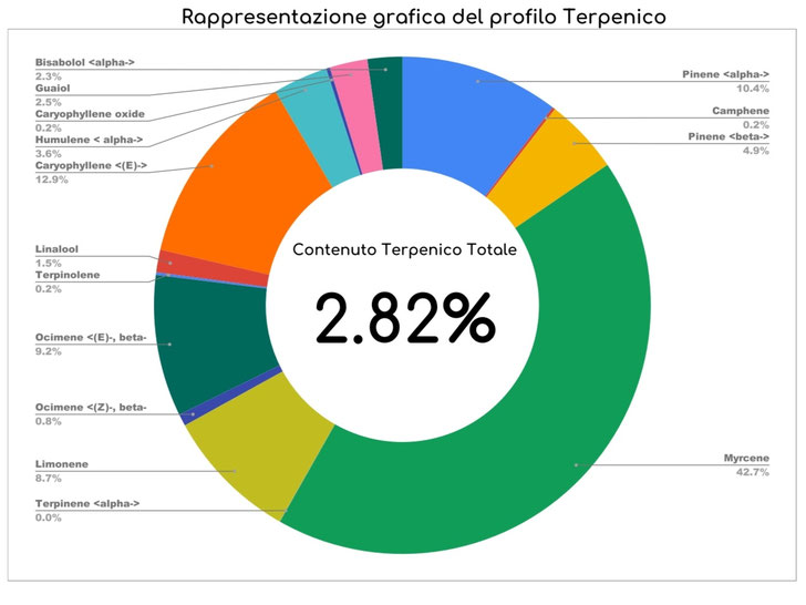 Profilo terpenico Pineapple Forest – aroma fruttato tropicale