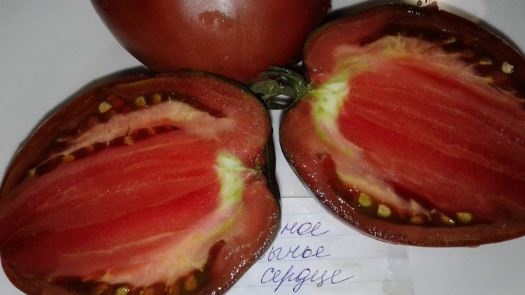 Томат Черное Сердце Бреда Фото