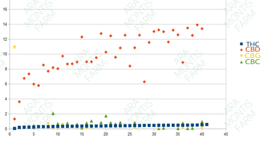 Grafico erba legale CBD alto – analisi cannabinoidi Ara Montis Farm