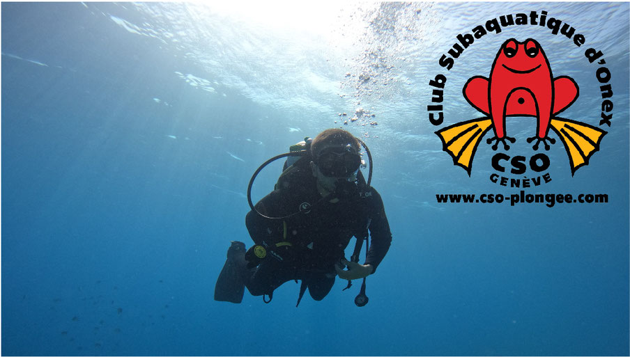 Logo CSO Onex