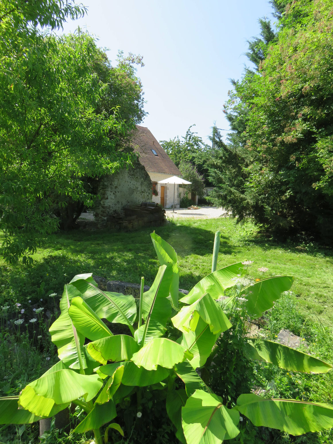 Jardin des chambres d'hôtes L'Echappée Belle à Gien