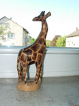 Klasse 4c Giraffen