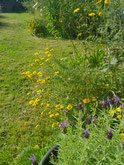 Naturnaher Garten, Foto: Privat/ Sonja Kynast