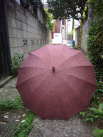 jiji-21