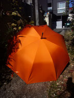 jiji-25