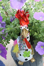 Doreen,35cm,3,7kg,€65VERGEBEN