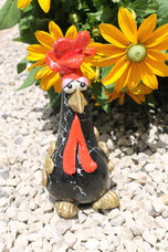 Pia,1,2kg,24cm,€40