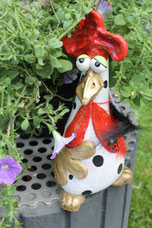 Gerda,33cm,4,1kg,€65,VERGEBEN