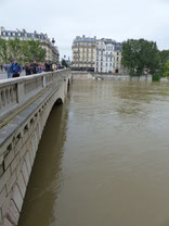 crue de la seine paris eau brunatre