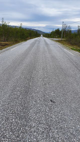 Die Strassen in Lappland sind teilweise schnurgerade und die Landschaft öde. Es ist einfach Natur pur.