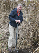 Freiwilliger pflanzt Eichen, Ulmen und Schwarzpappeln 