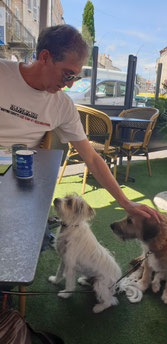 deux chiens à la terrasse d'un restaurant issoirien avec leur maitre 
