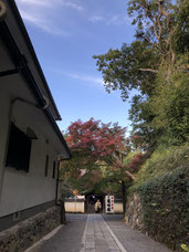 東福寺（2019．11）