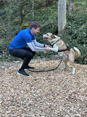 Bewegung und Sport mit Hund, Christian Wirz Personalcoach