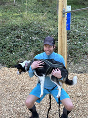 Move with Dog, Bewegung mit Deinem Hund, Christian Wirz Personalcoach