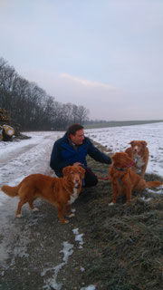 v. l. n. r. Mali, Fena und Josy - erster Spaziergang nach der Übernahme!