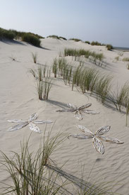 brigitta backhaus, nurnatur, landart, landartist, art, temoraryart, inspired by nature, naturalart, landartphotography, temporayartwork, landscape