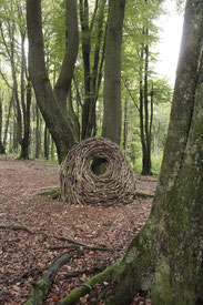 brigitta backhaus, nurnatur, landart, landartist, art, temoraryart, inspired by nature, naturalart, landartphotography, temporayartwork, landscape