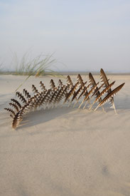 brigitta backhaus, nurnatur, landart, landartist, art, temoraryart, inspired by nature, naturalart, landartphotography, temporayartwork, landscape