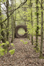 brigitta backhaus, nurnatur, landart, landartist, art, temoraryart, inspired by nature, naturalart, landartphotography, temporayartwork, landscape