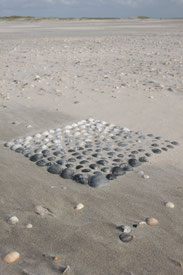 brigitta backhaus, nurnatur, landart, landartist, art, temoraryart, inspired by nature, naturalart, landartphotography, temporayartwork, landscape