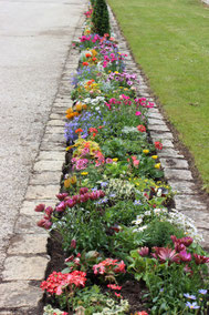 Blumenbeet