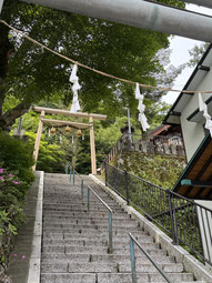 木々に囲まれた石段と鳥居が続く、静かな神社の入り口の風景。